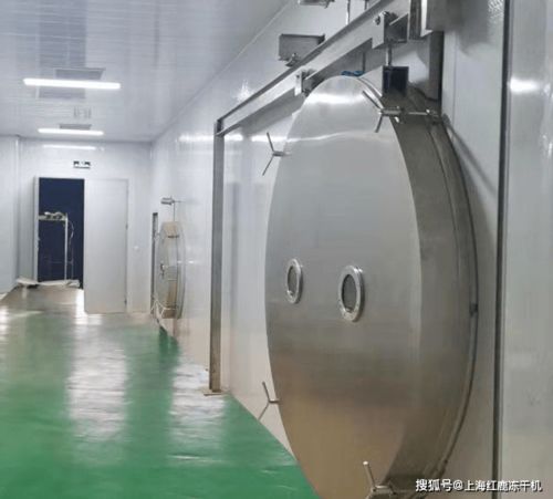解鎖健康喂養(yǎng)新方式 深入了解寵物食品凍干機器