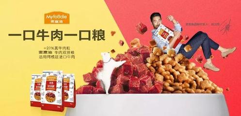 從麥富迪、喵鮮到朕的盒子 透視寵物新國貨品牌的崛起與機遇